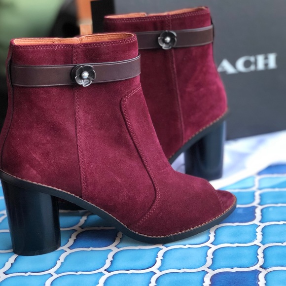 Coach Moto Booties - Picture 2 of 8